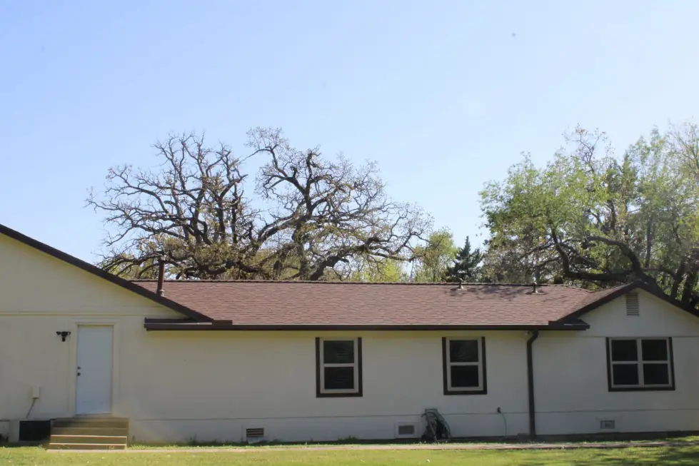Cream-sided ranch home with a long brown shingle roof and dark gutters under big oak trees